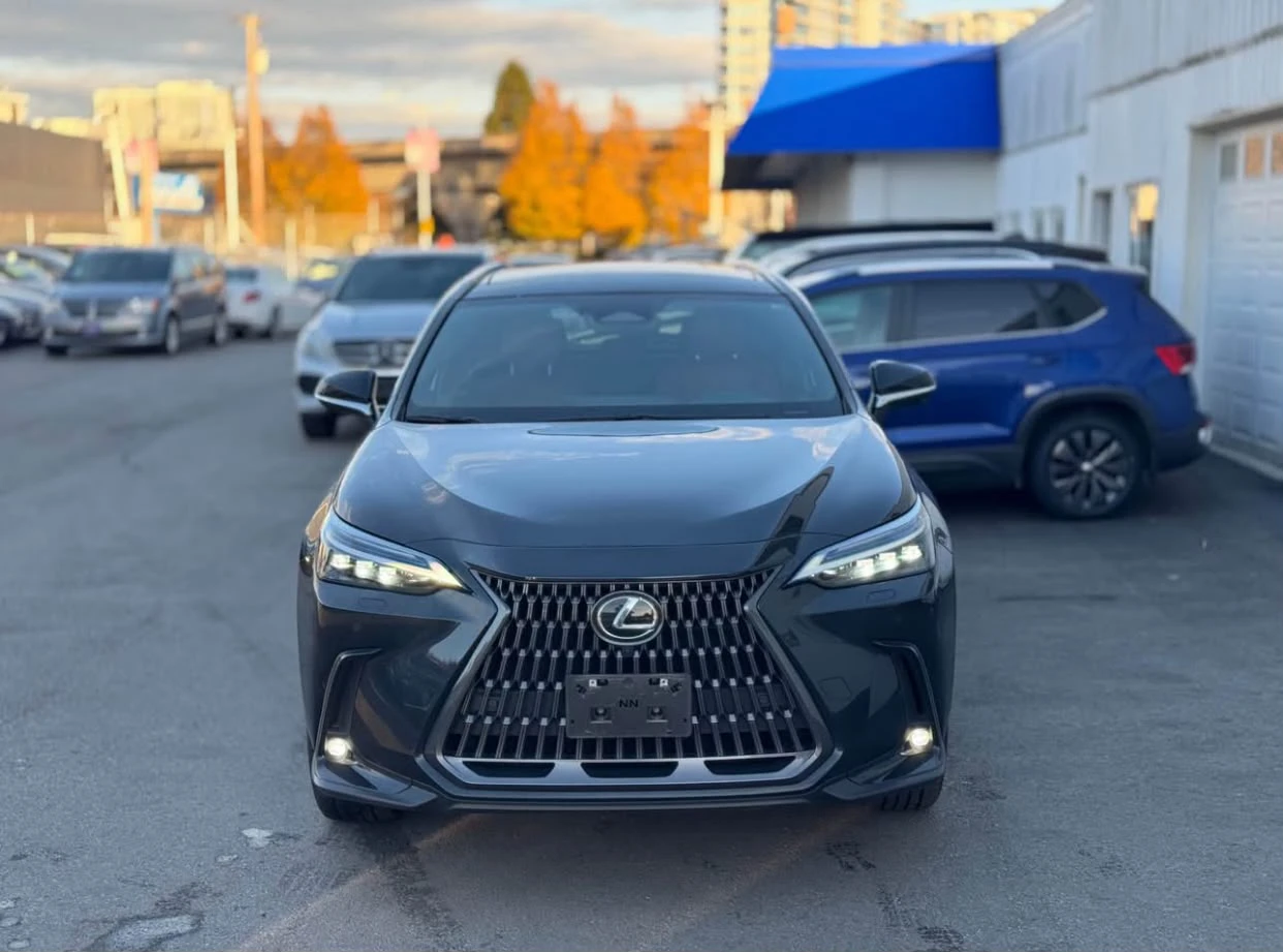 2024 Lexus NX