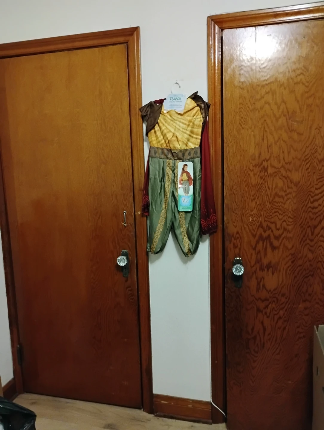 Disney Raya and the Last Dragon Adventure Costume - photo 3