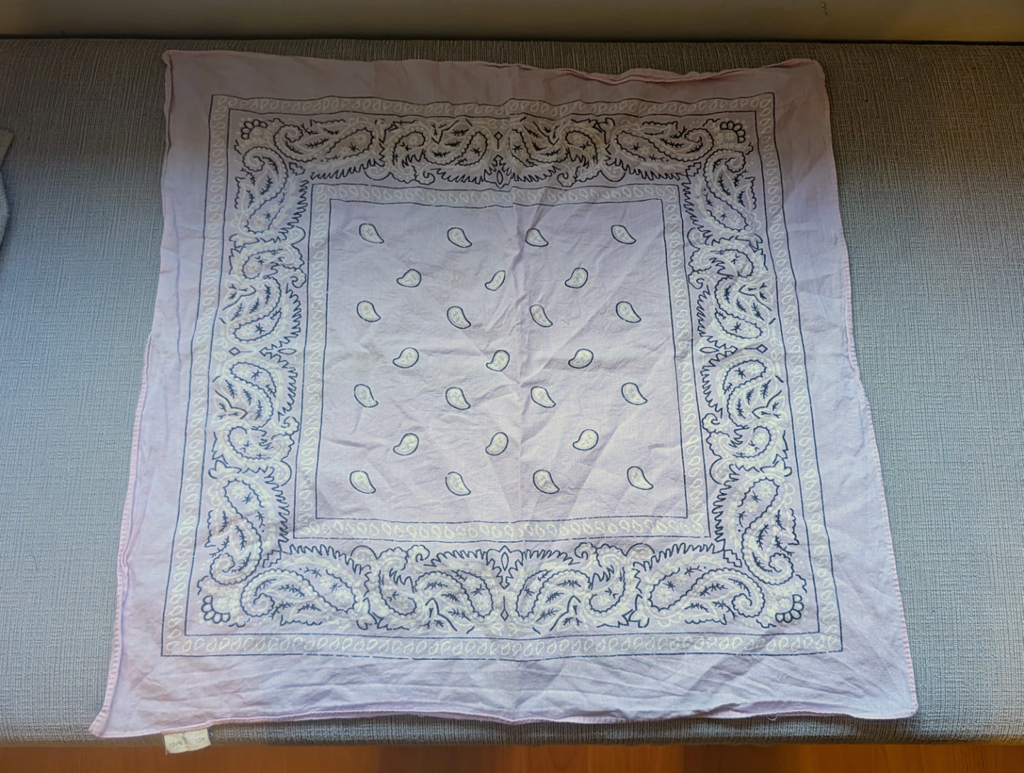 Light Pink Paisley Bandana