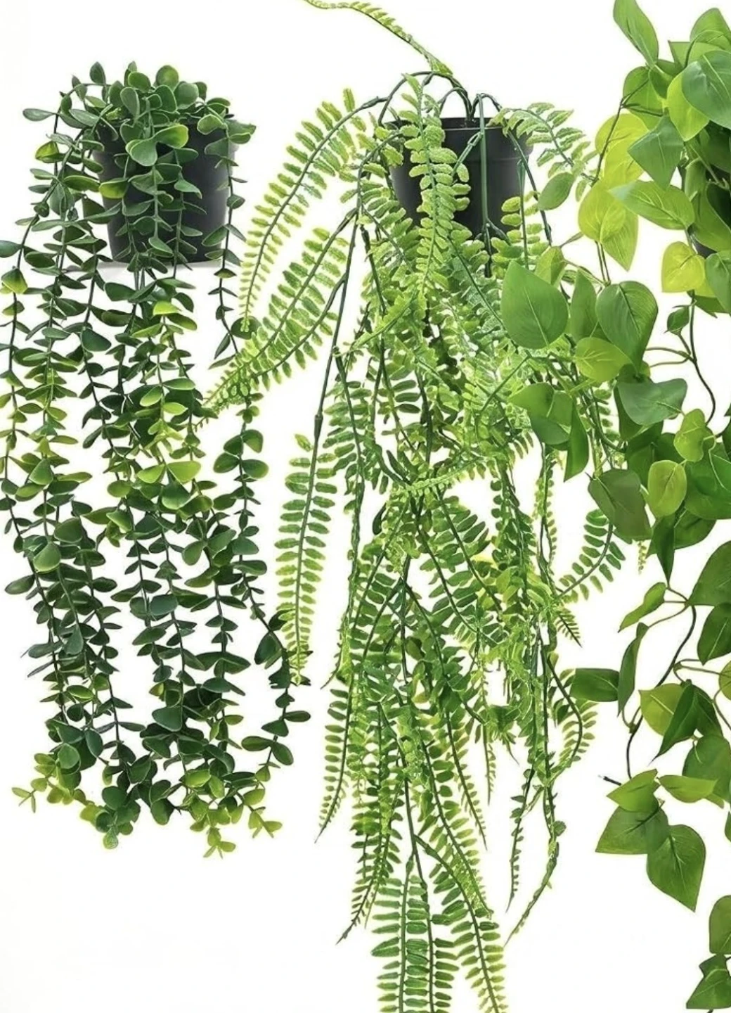 WANTED...Silk or artificial Plants - photo 3