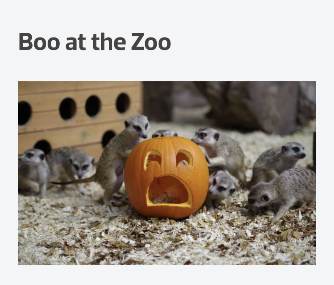 Boo at the zoo 5-8pm tonight adult child sold out