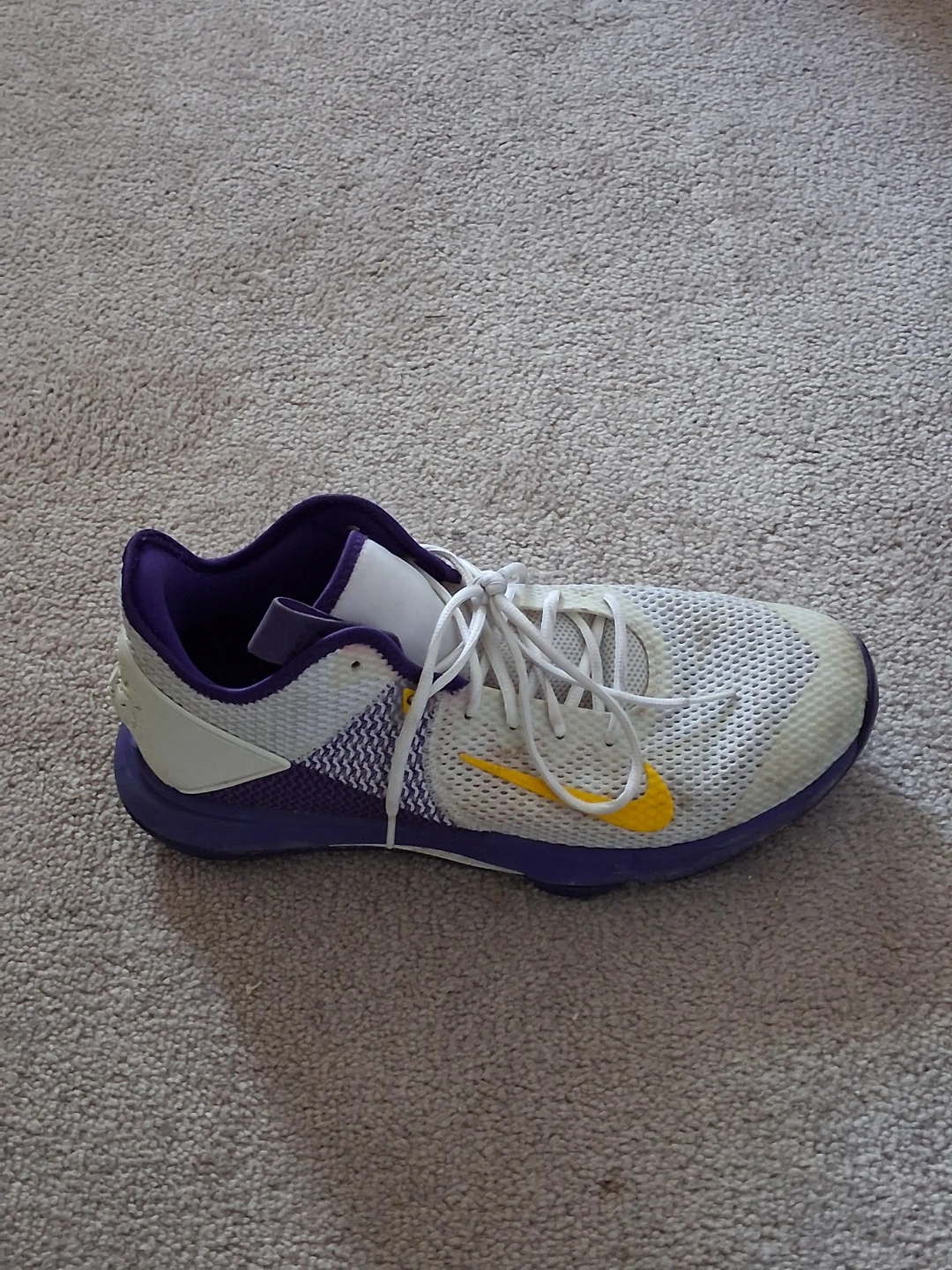 Nike LeBron Witness Basketball Shoes