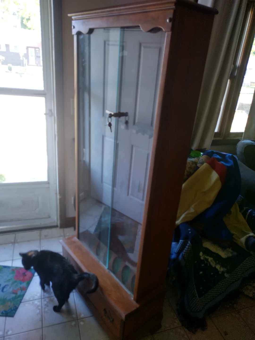 Wooden Gun Cabinet with Glass Door and 2 Keys - photo 3