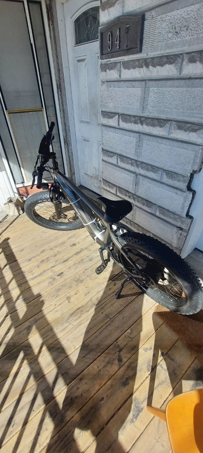 E-Cells Palo Electric Fat Tire Bike