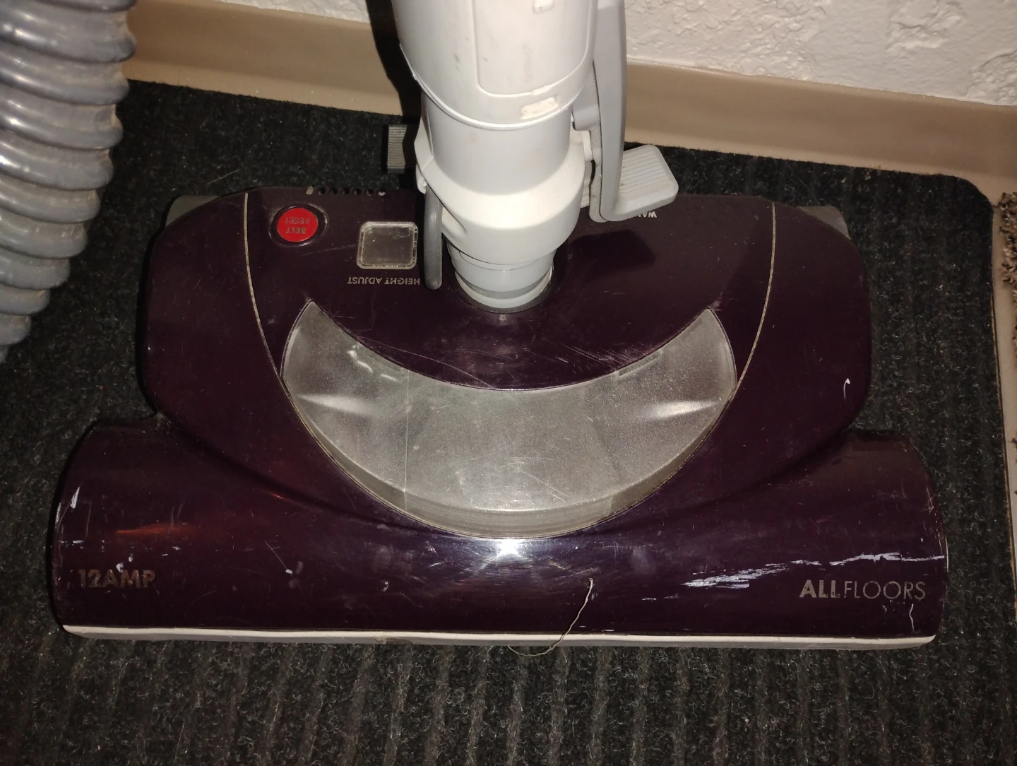 Kenmore Elegance Canister Vacuum - photo 2