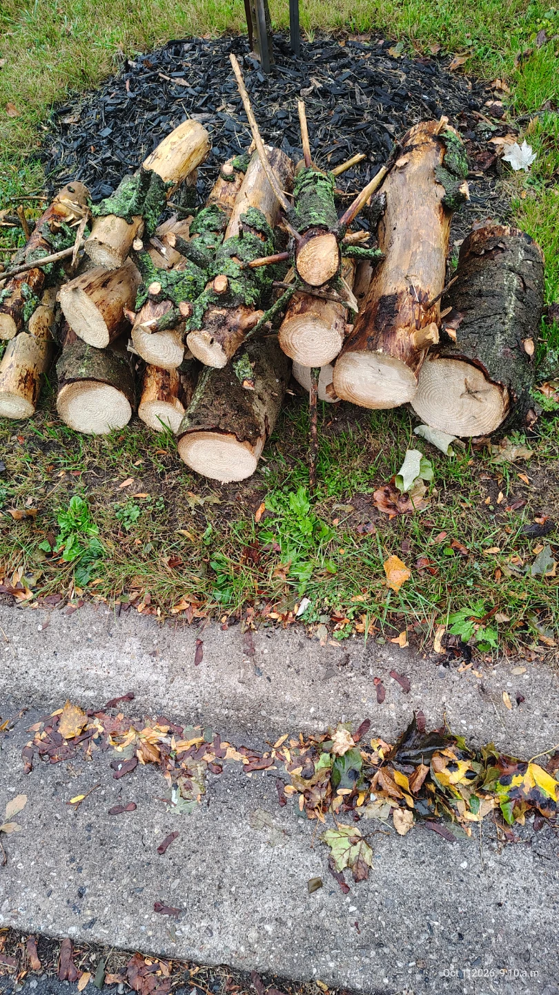 Free Firewood