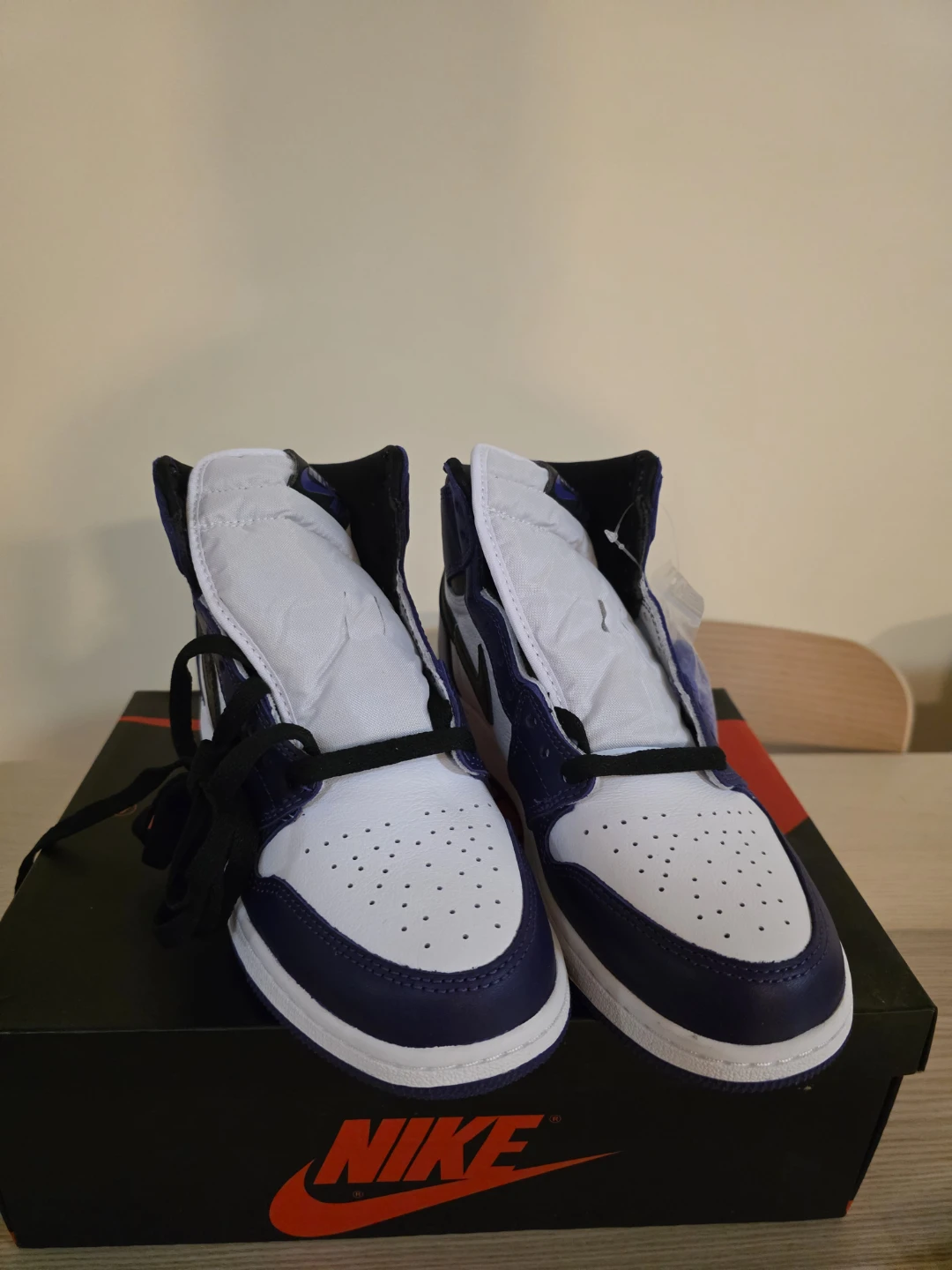 Nike Air Jordan 1 Retro High OG GS Court Purple