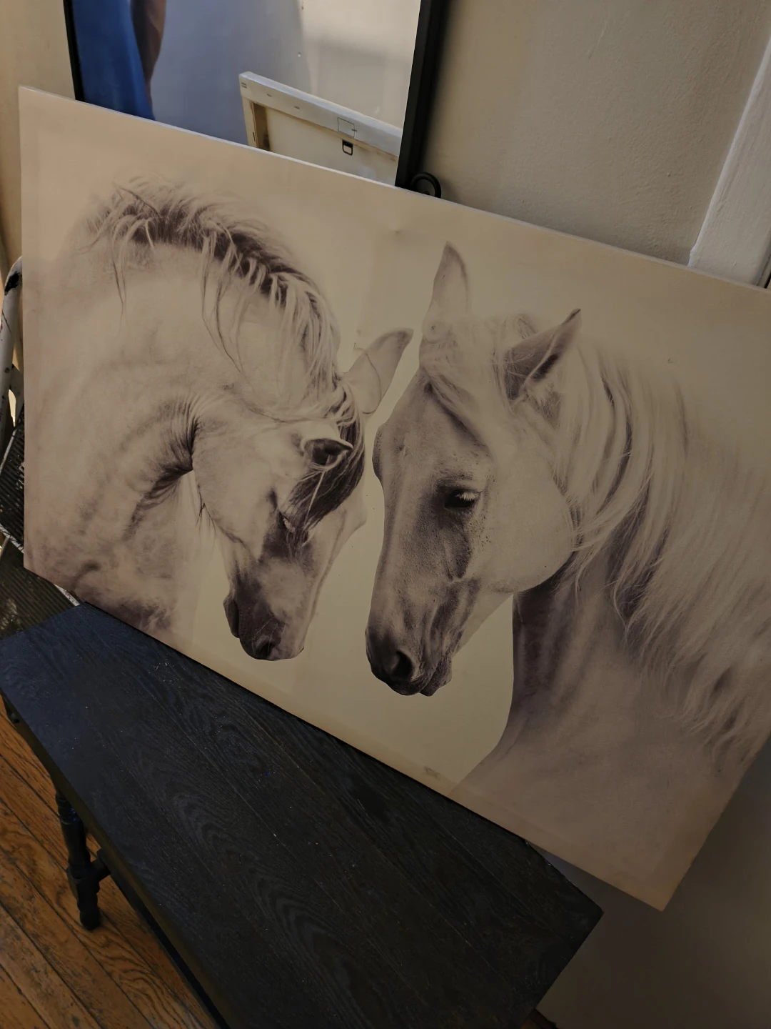 Black and White Horse Canvas Print