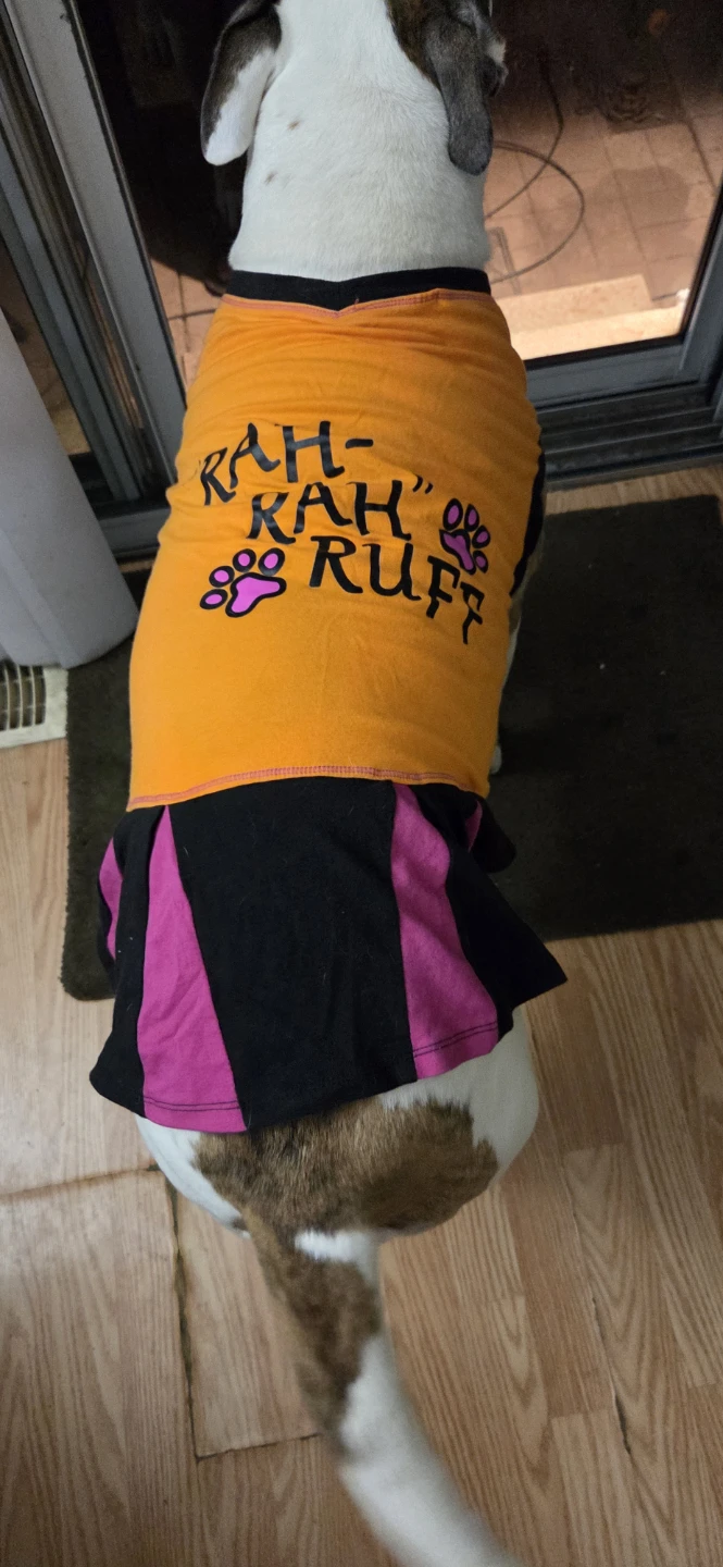 Rah-Rah Ruff Dog Cheerleader Halloween - photo 3