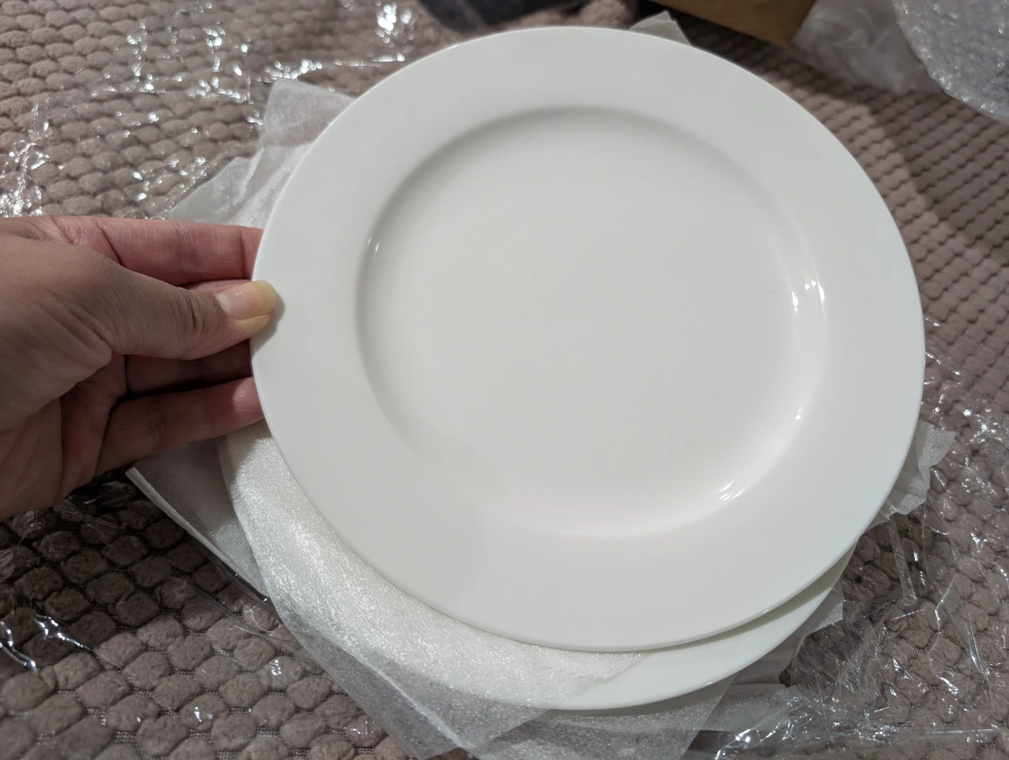 Dessert plates 8" (X5)