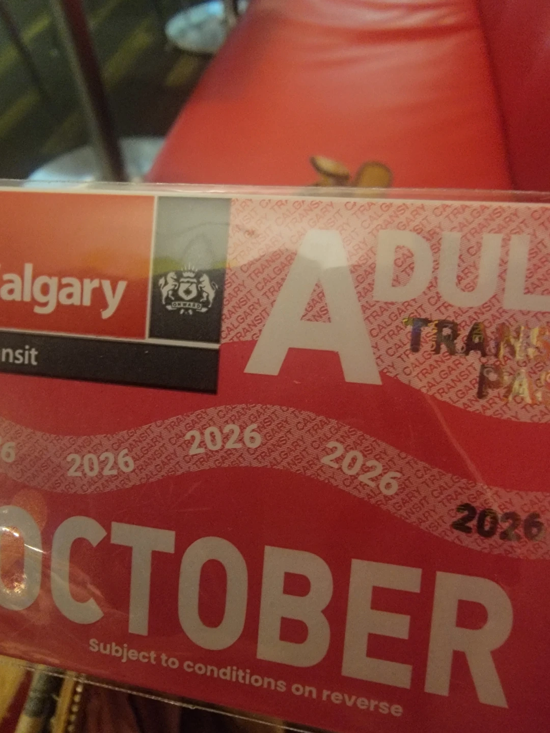 October Adult Bus Pass