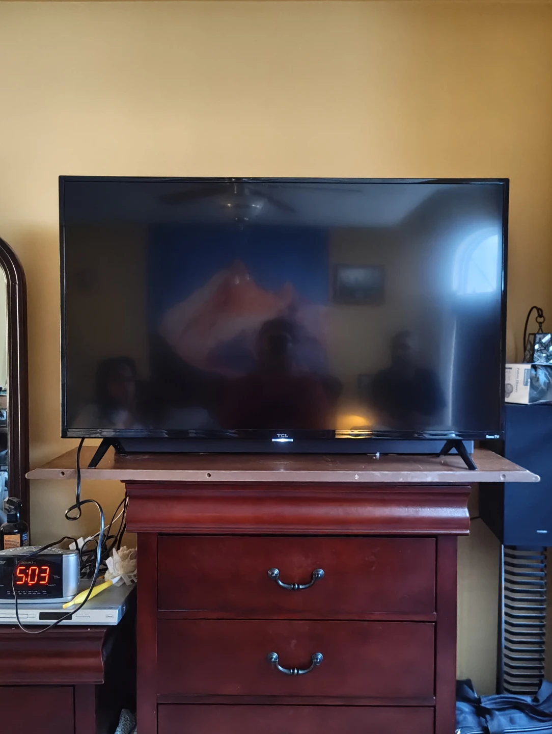 43" TCL Roku Smart TV