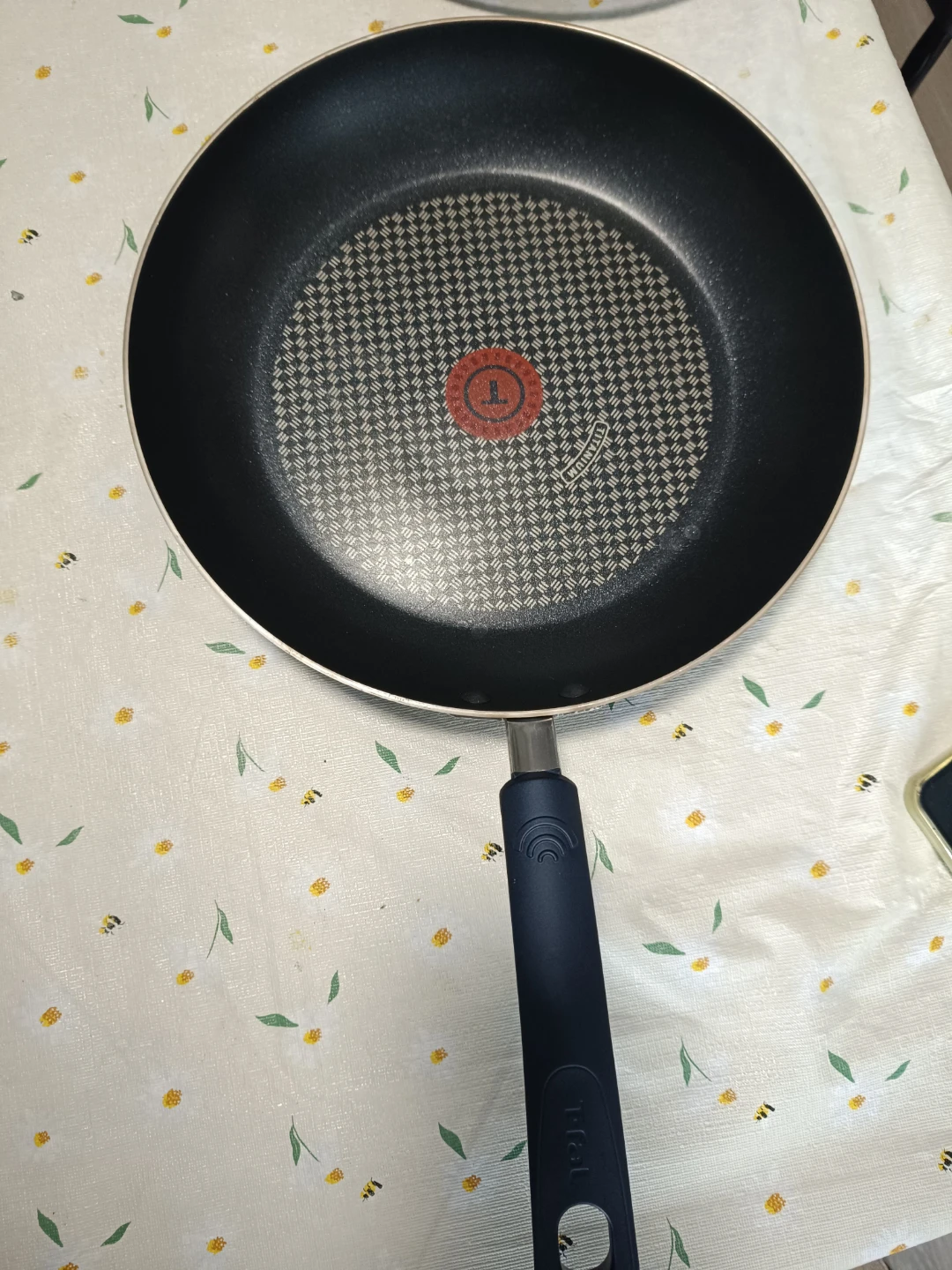 T-fal Frying Pan with Paderno Lid