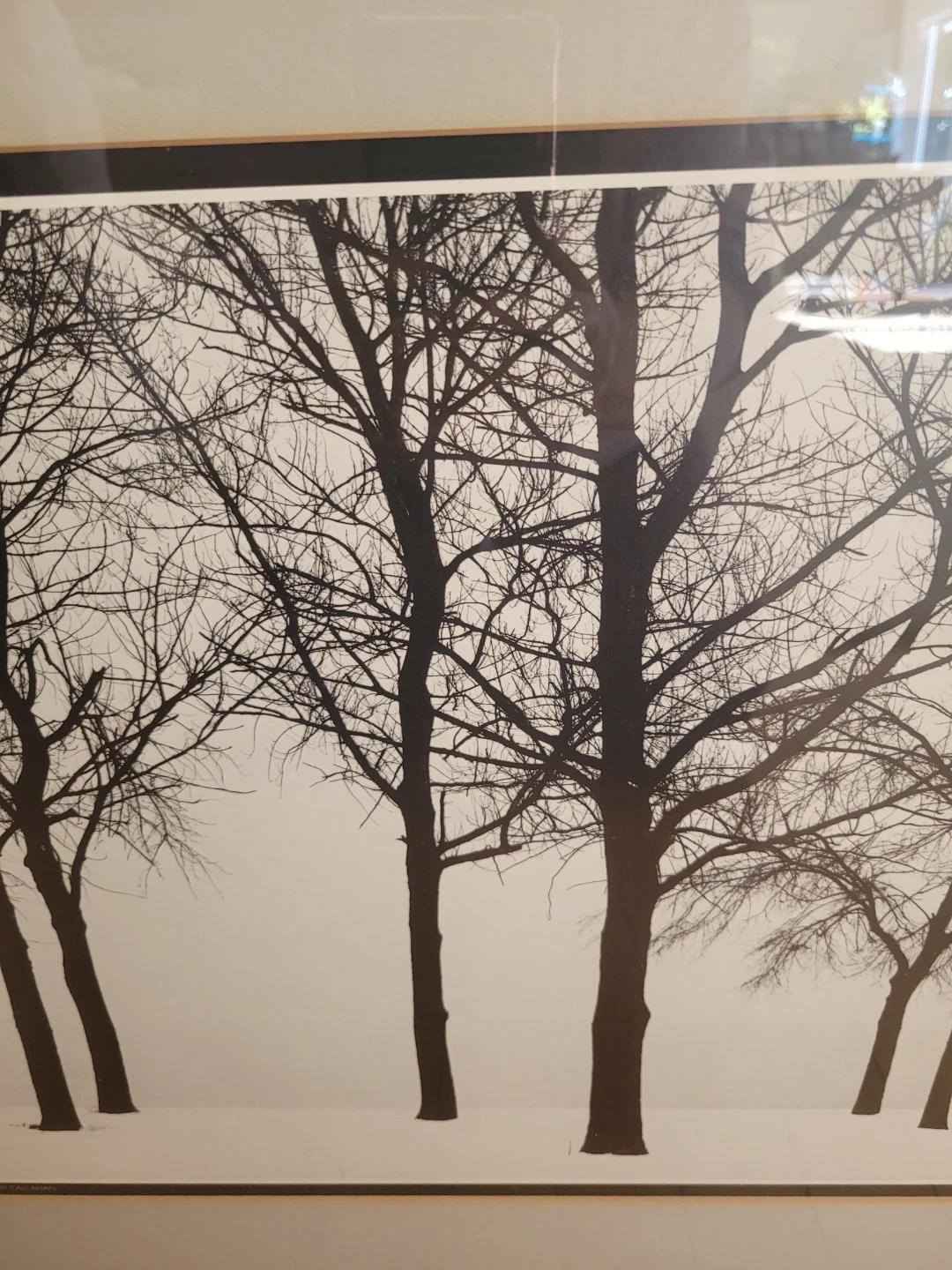 Harry Callahan Chicago 1950 Framed Print - photo 3