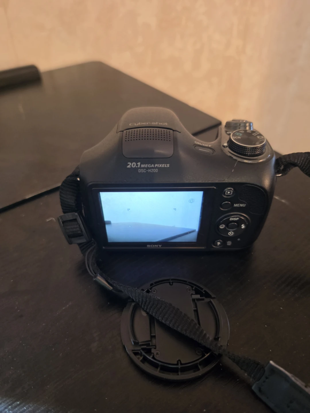 Sony Cyber-shot DSC-H200 20.1MP Digital Camera – Tested - photo 2