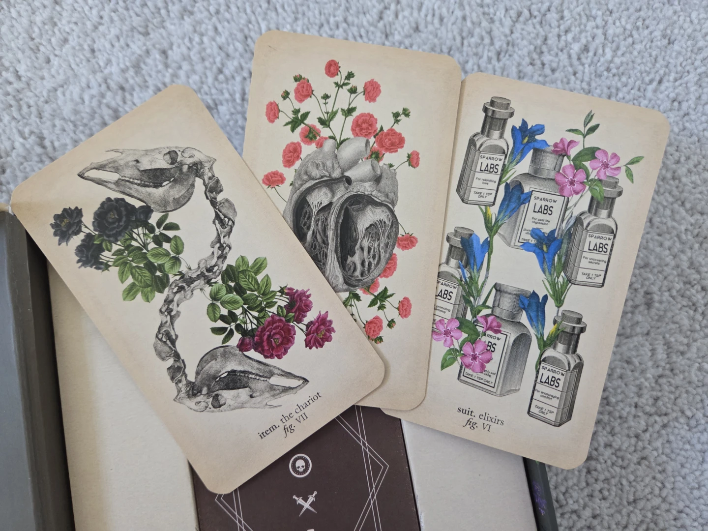 The Antique Anatomy Tarot Deck & Guidebook - photo 2