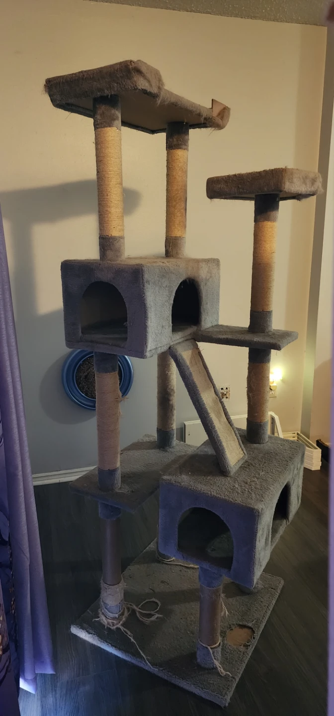 Multi-Level Grey Cat Tree