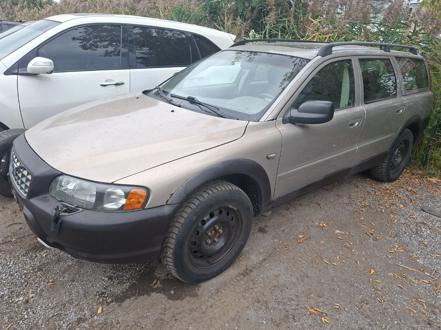 Cars forsake - photo 3
