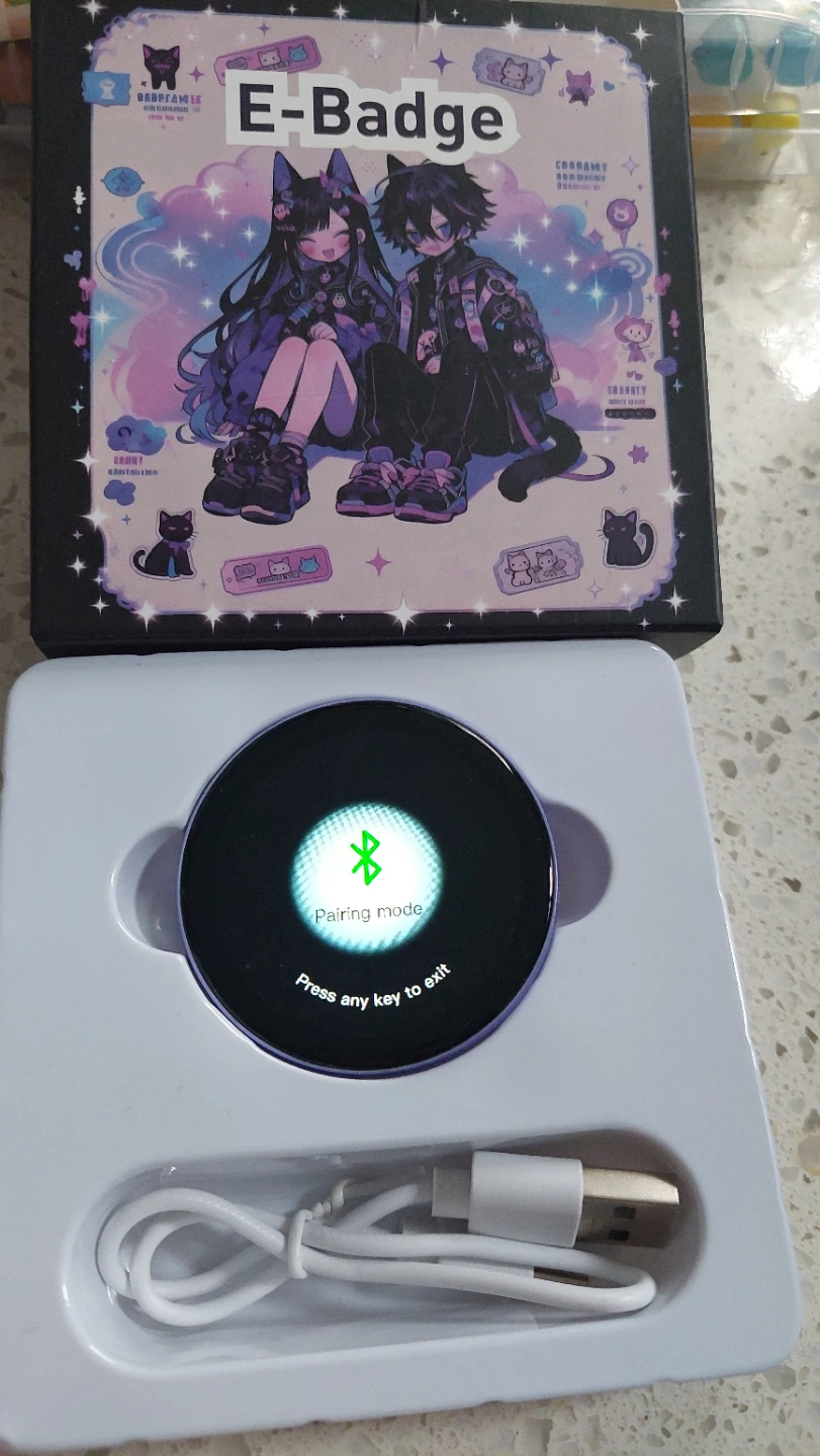 E-Badge digital display pin