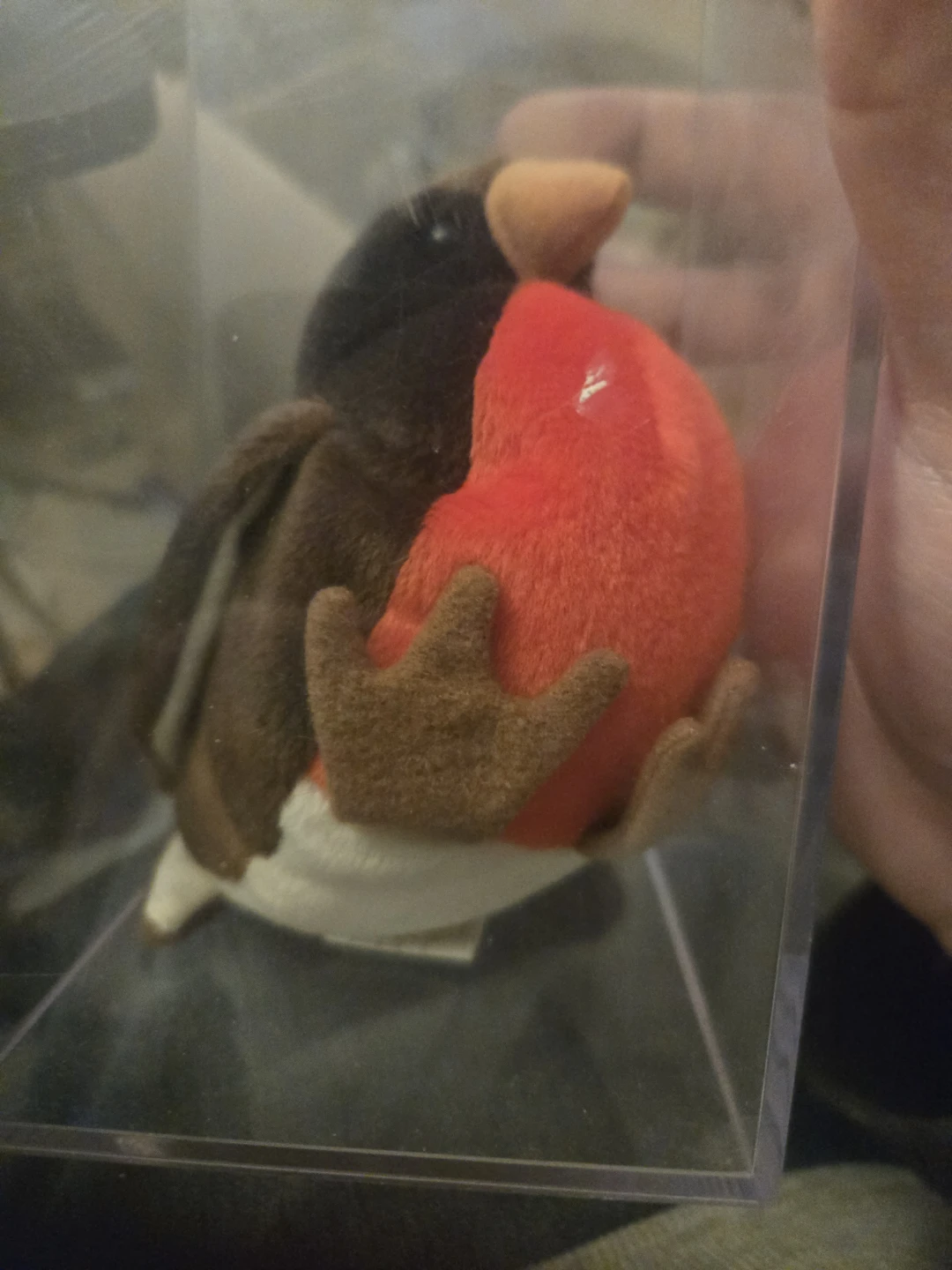 Ty Beanie Baby Early Robin