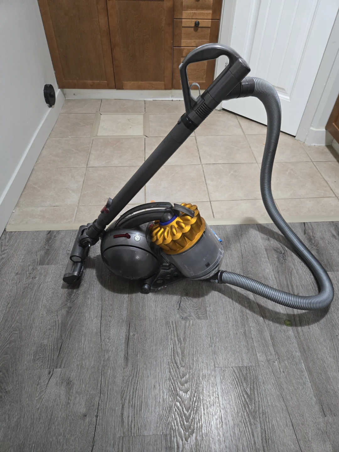 Dyson vaccum