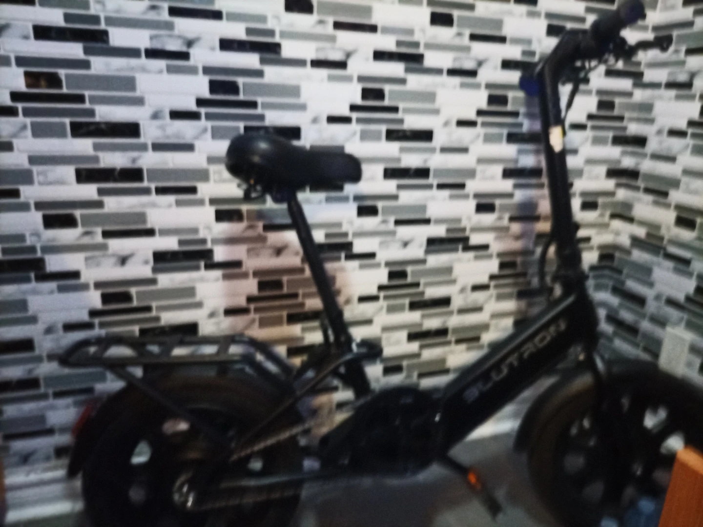 Blutron Folding Electric Bike