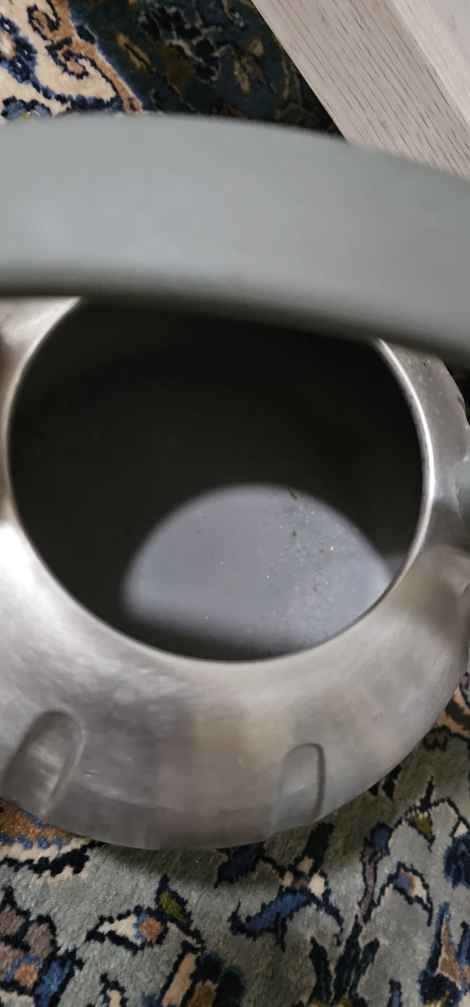 Stainless Steel Stovetop Kettle - photo 3