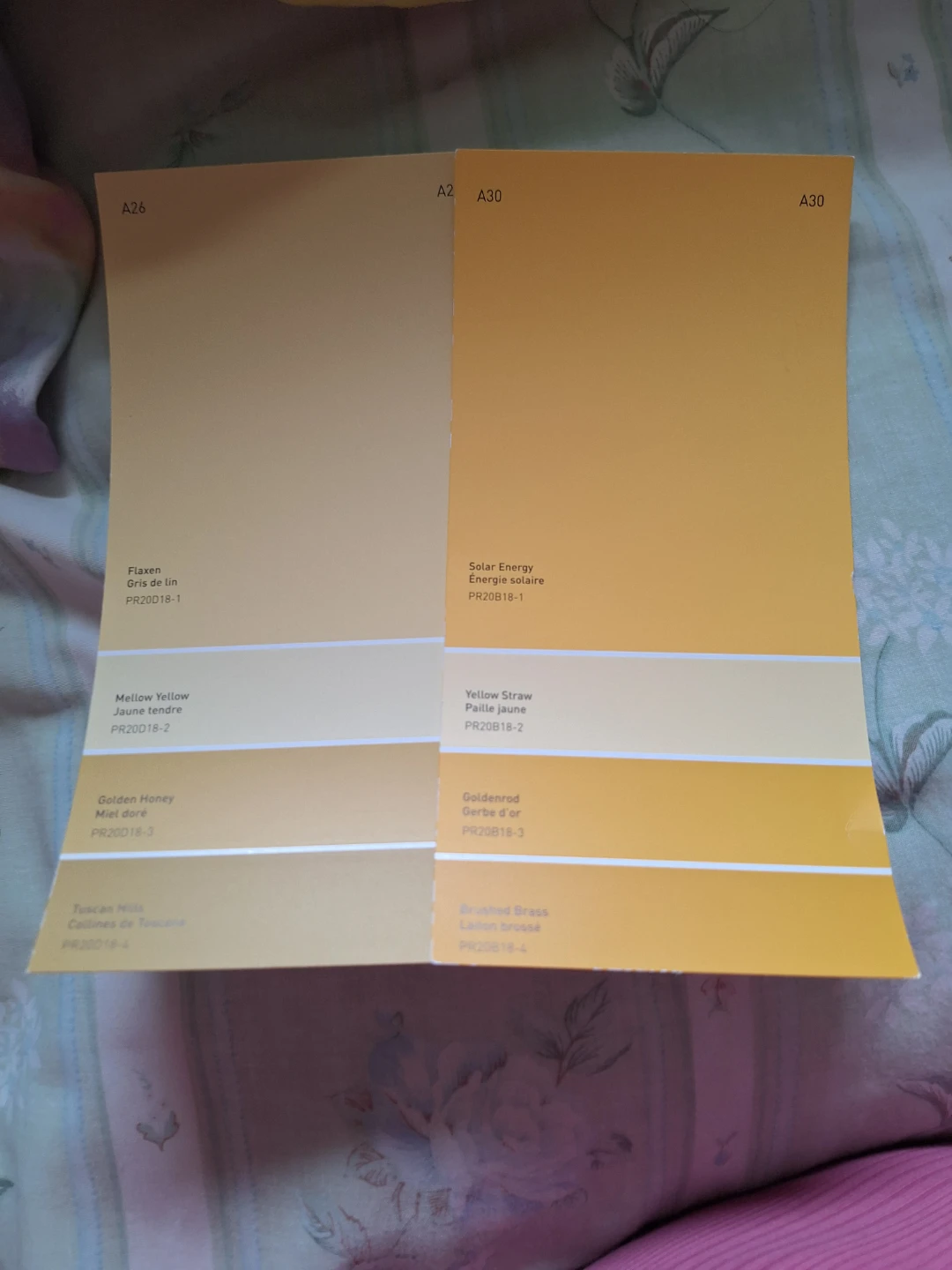 Assorted paint color examples - photo 3