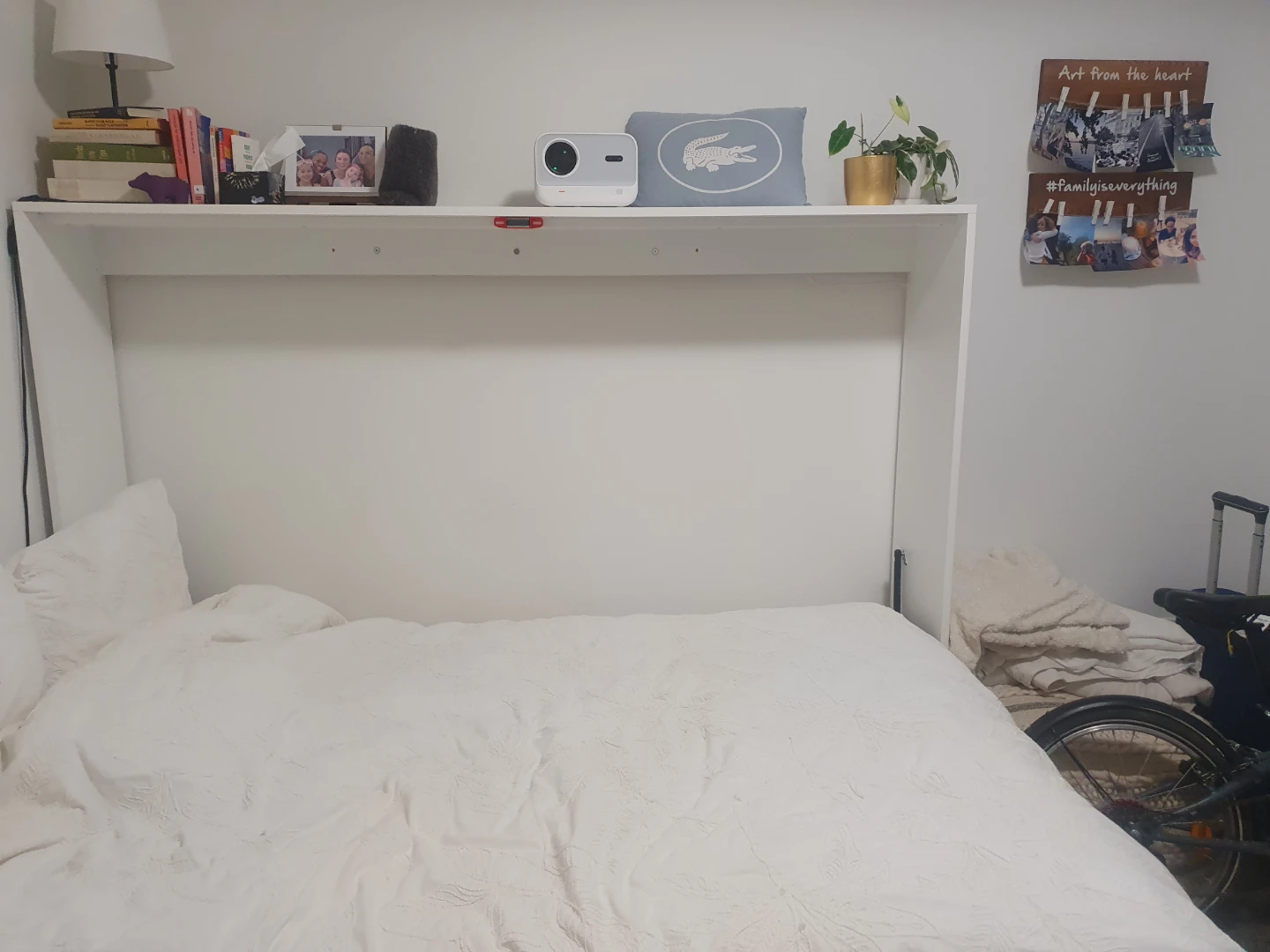 Wall-Mounted Murphy Bed