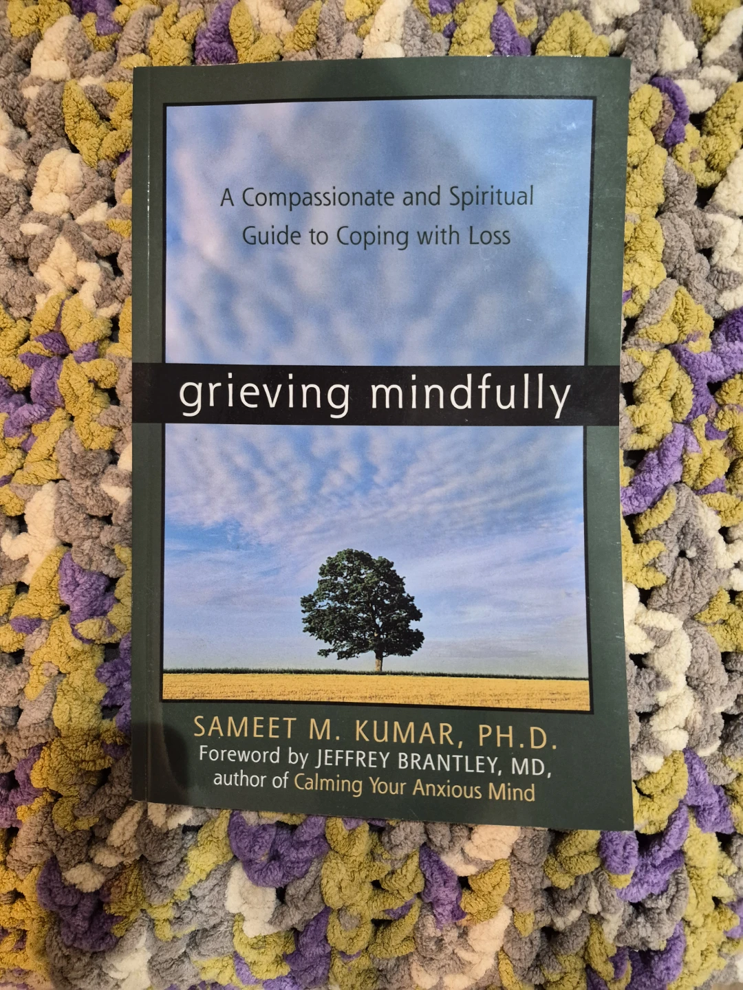 Grieving Mindfully by Sameet M. Kumar