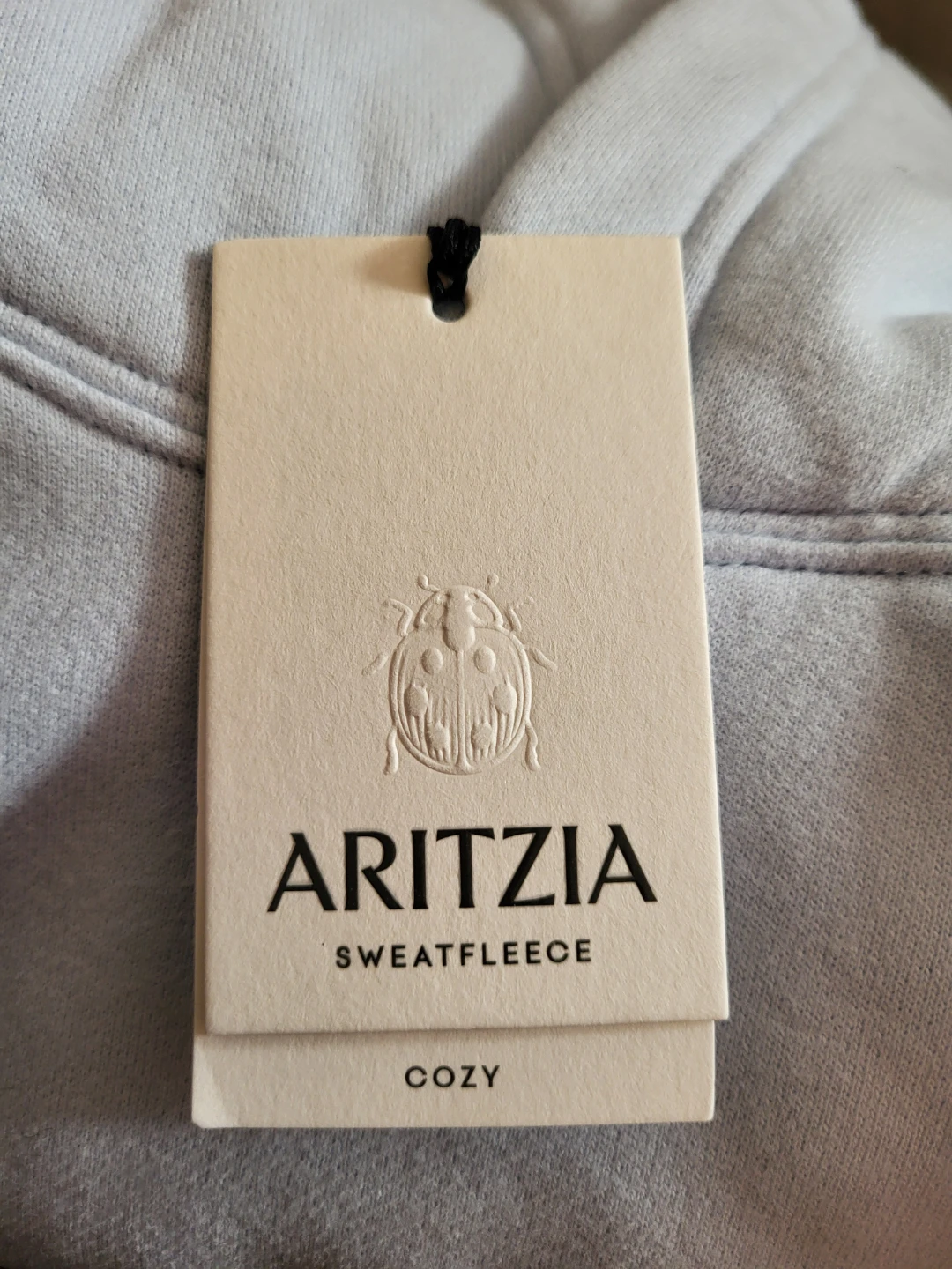 Aritzia Sweatfleece Hoodie