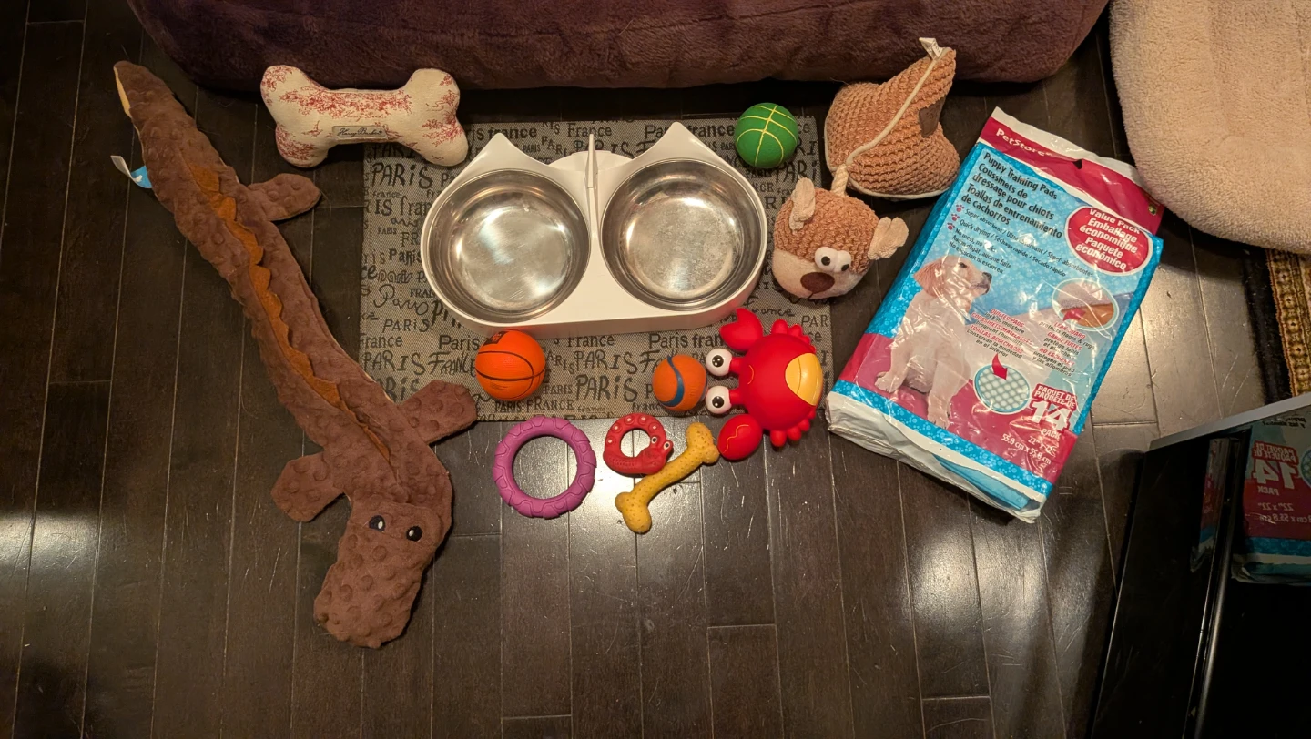 Dog Bed and Puppy Supplies Bundle - photo 3