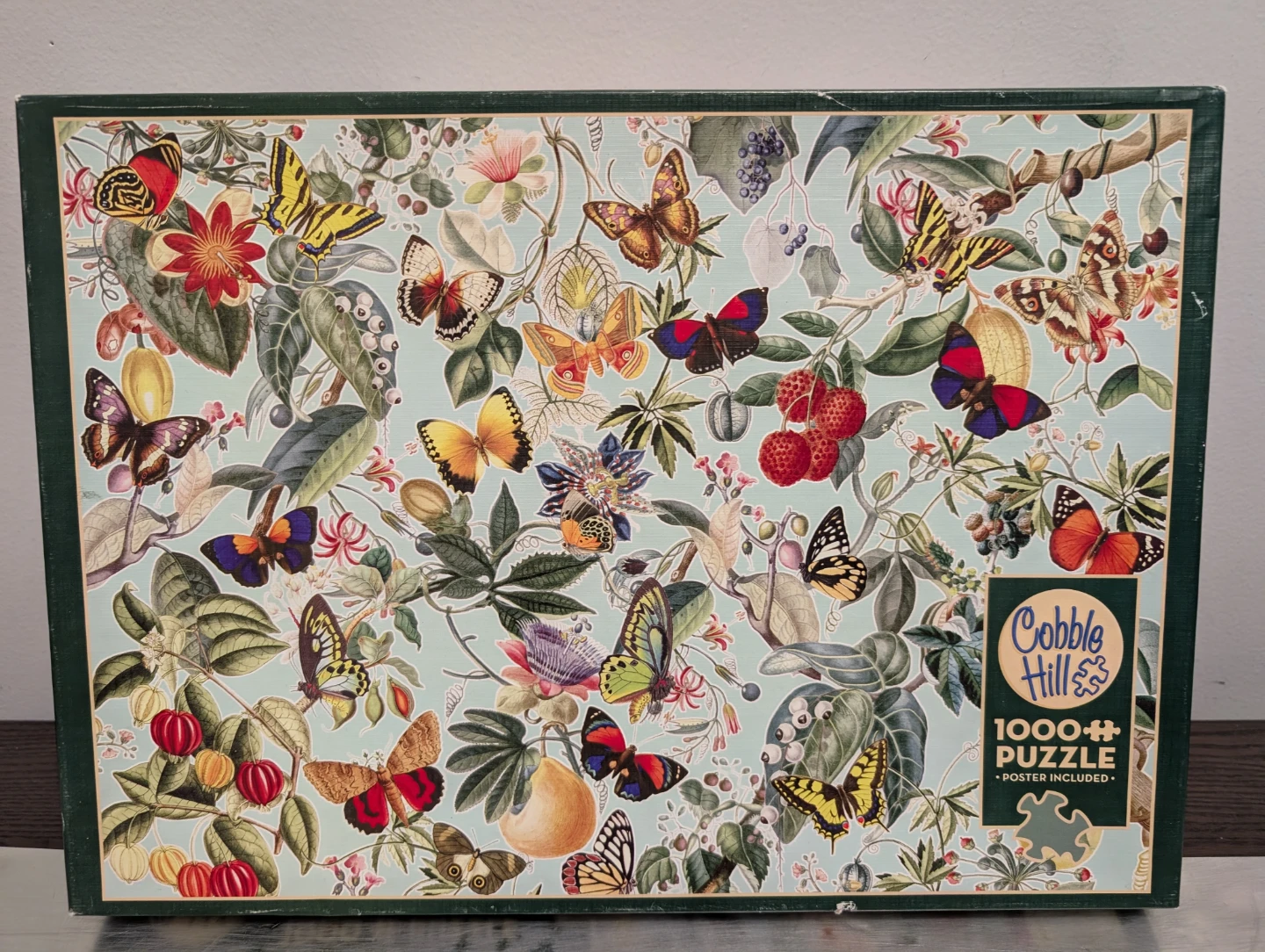 Fruit and Flutterbies 1000 Piece Jigsaw Puzzle 🧩