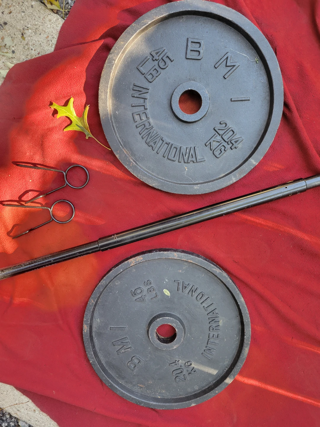 90LBs  2" HOLE.  STRAIGHT BAR WITH 2-45s - photo 2