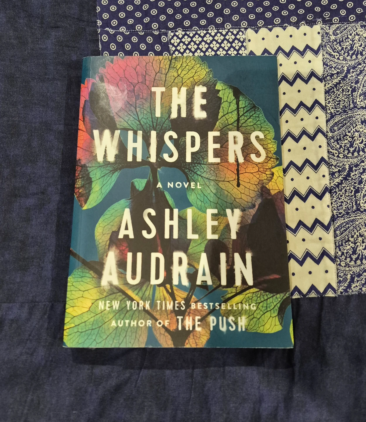 The Whispers by Ashley Audrain Book