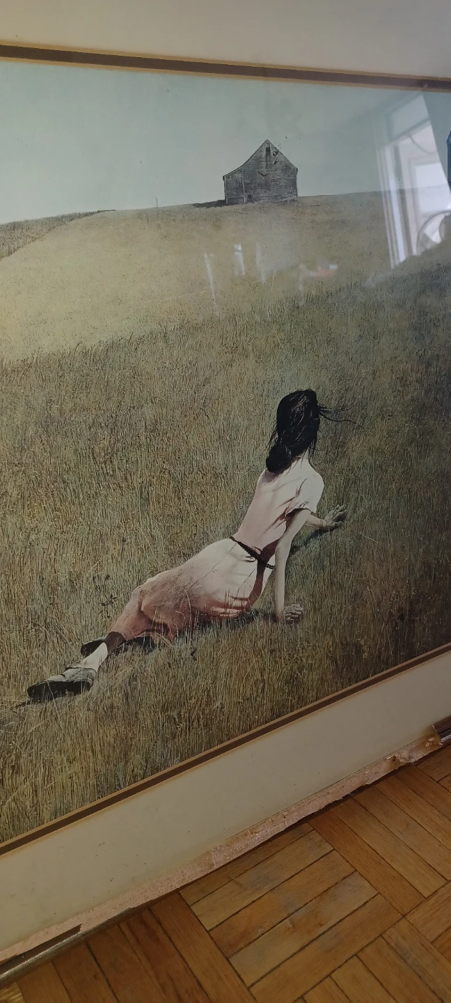 Andrew Wyeth Christina's World Framed Print