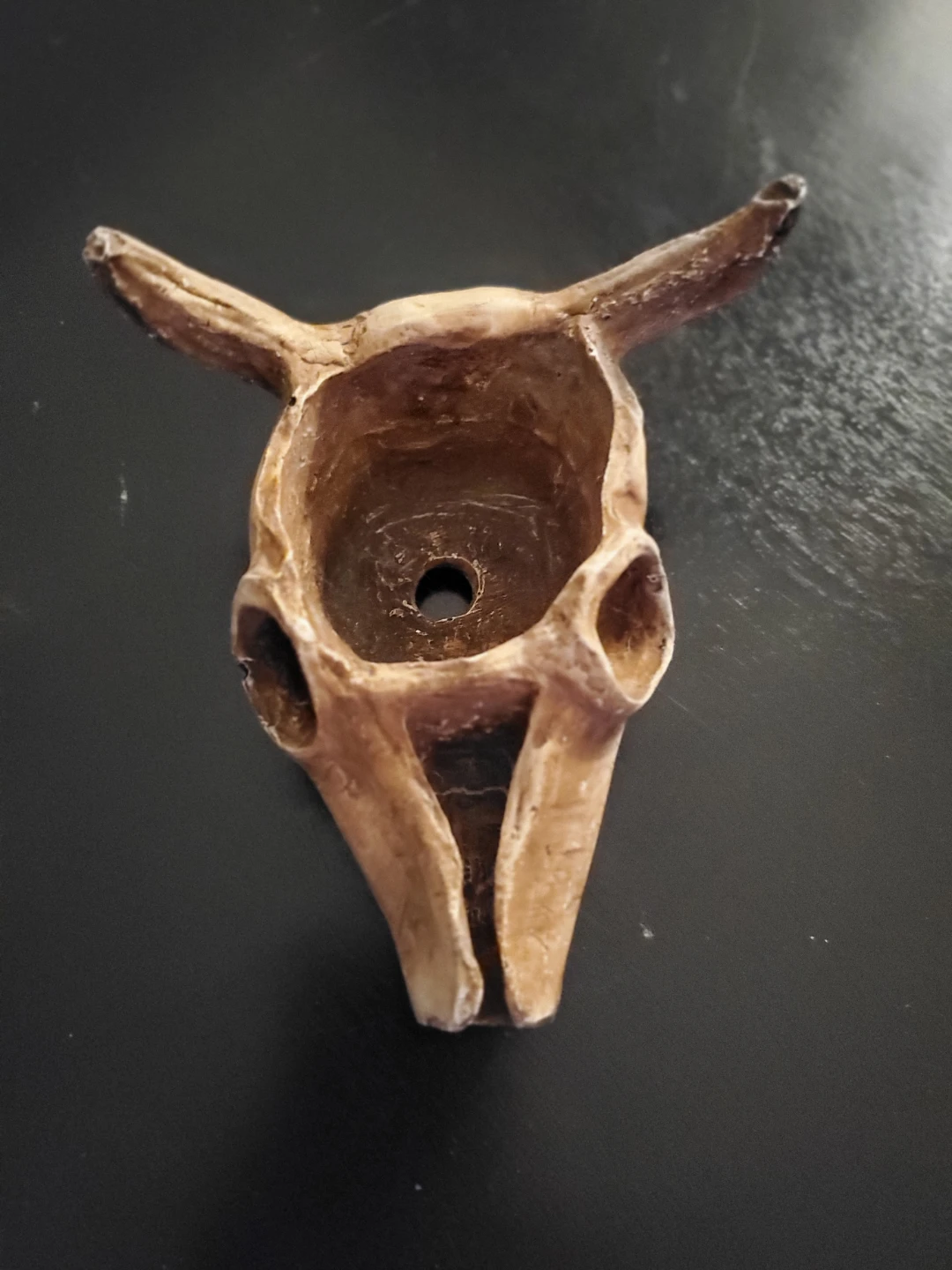 Bull Skull Decorative Planter