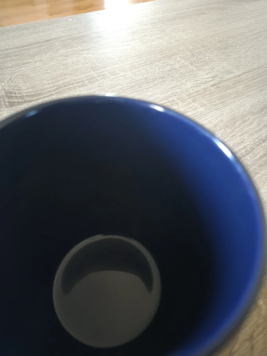 Disney Home Is Where Your Dog Is Ceramic Mug - photo 2