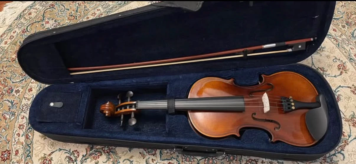 Violin