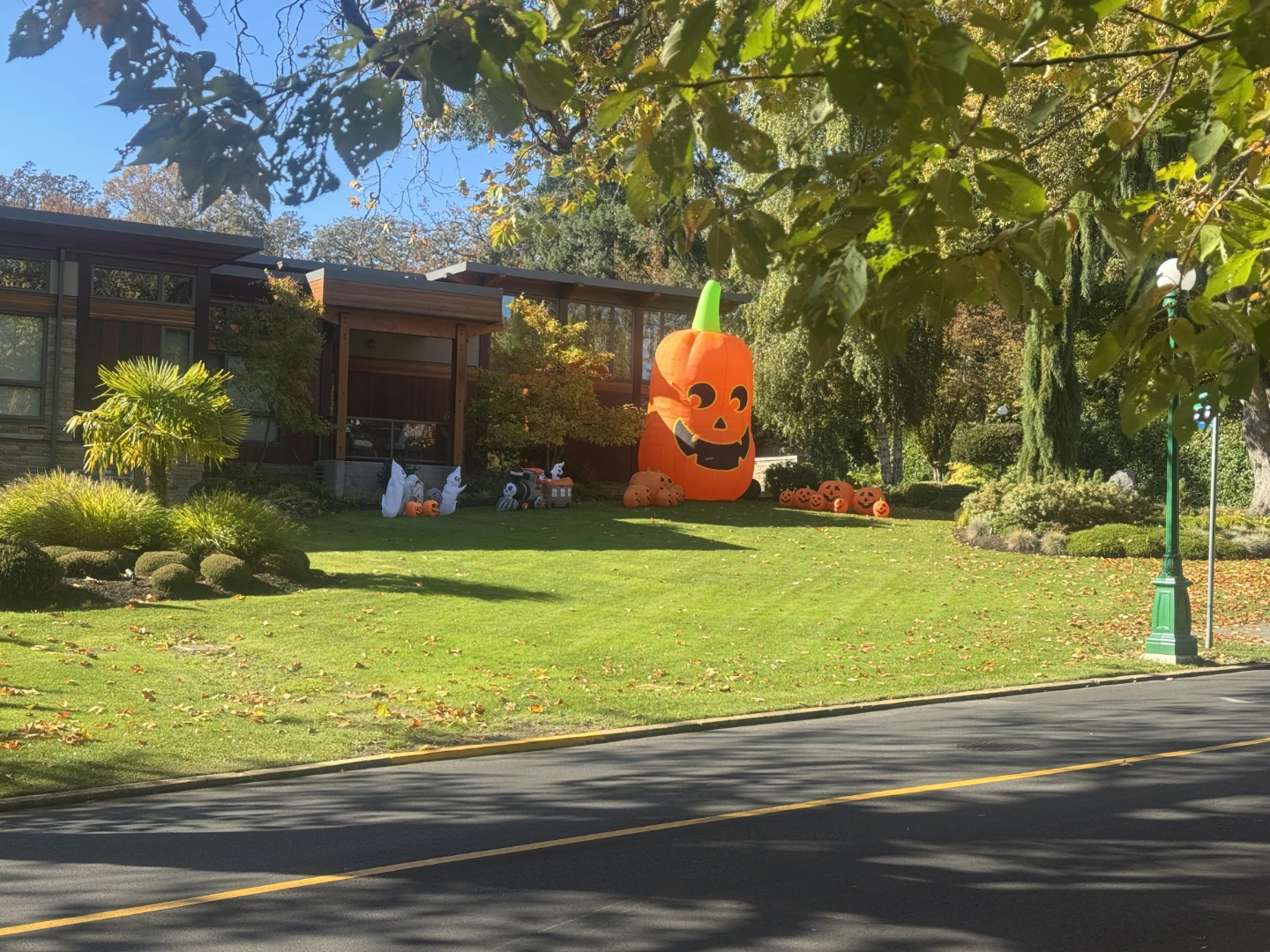 Halloween Decor/Party Clean Up 🎃