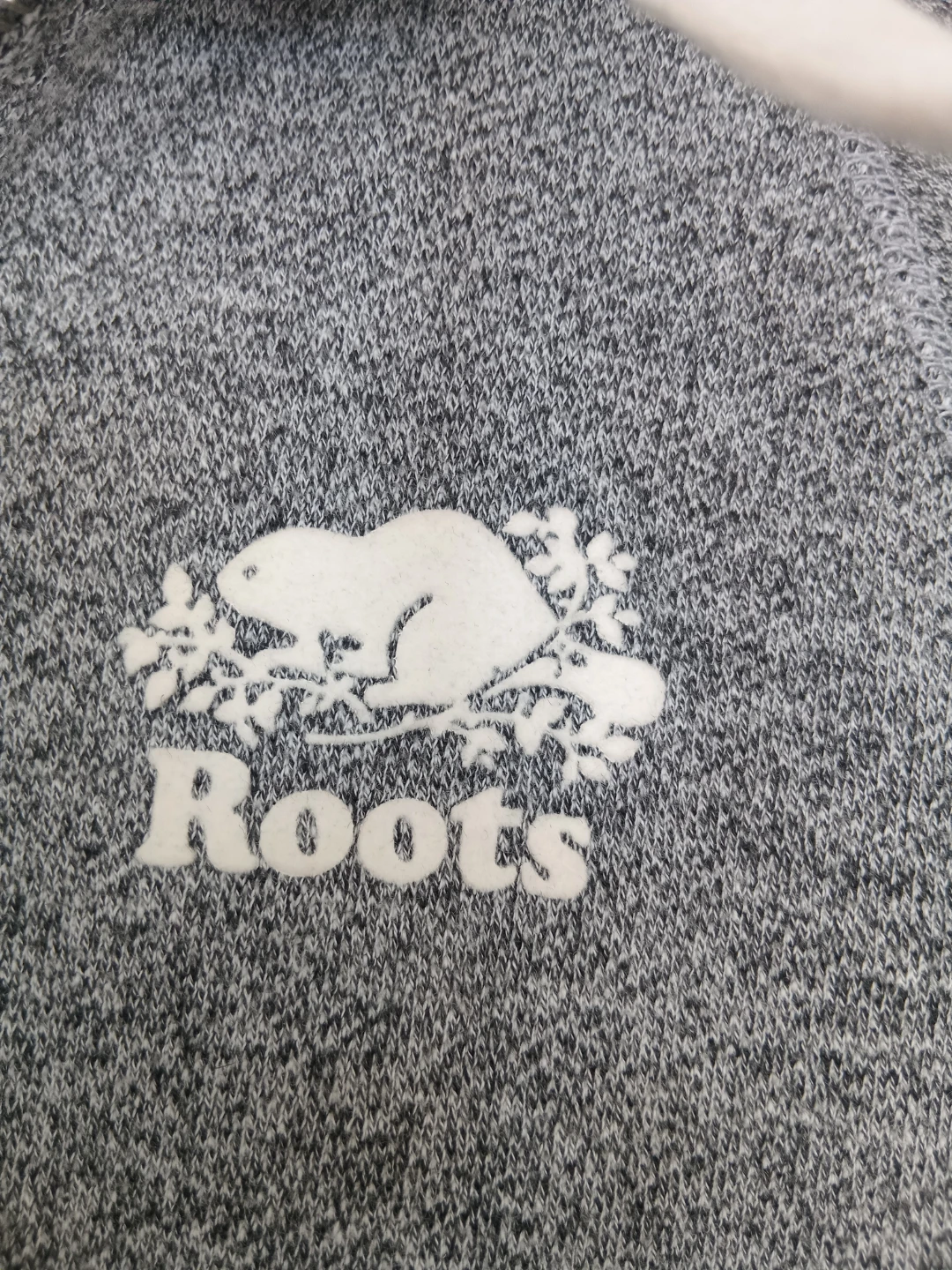 Roots Grey Hooded Short Sleeve Sweatshirt - photo 4