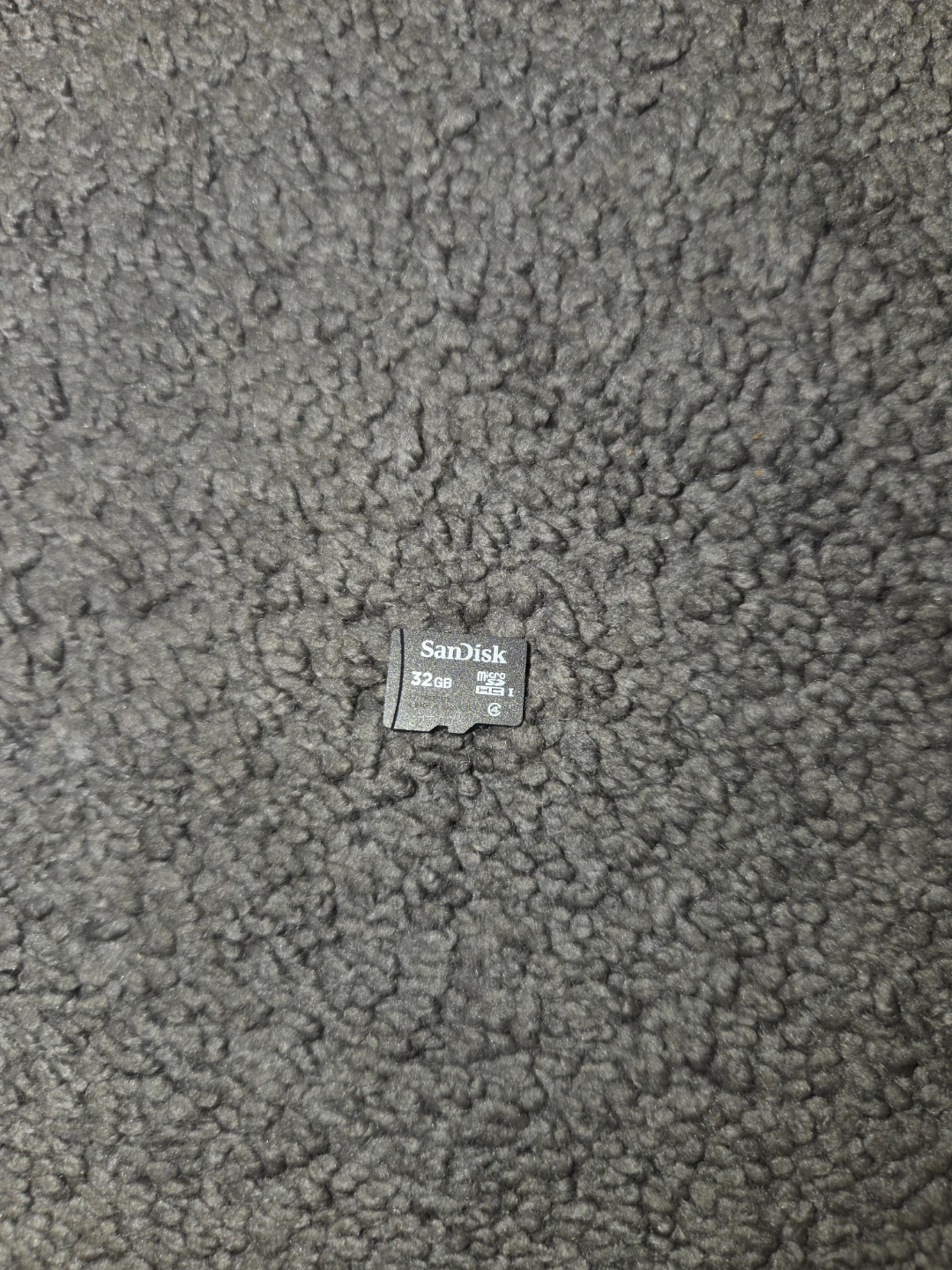 SanDisk 32GB microSDHC Card
