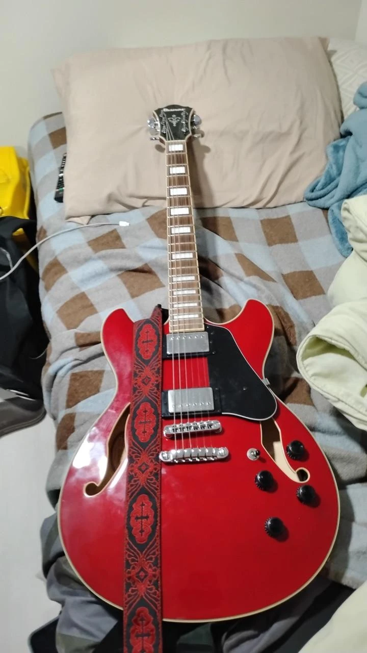 Ibanez Hollow Body Electric Guitar
