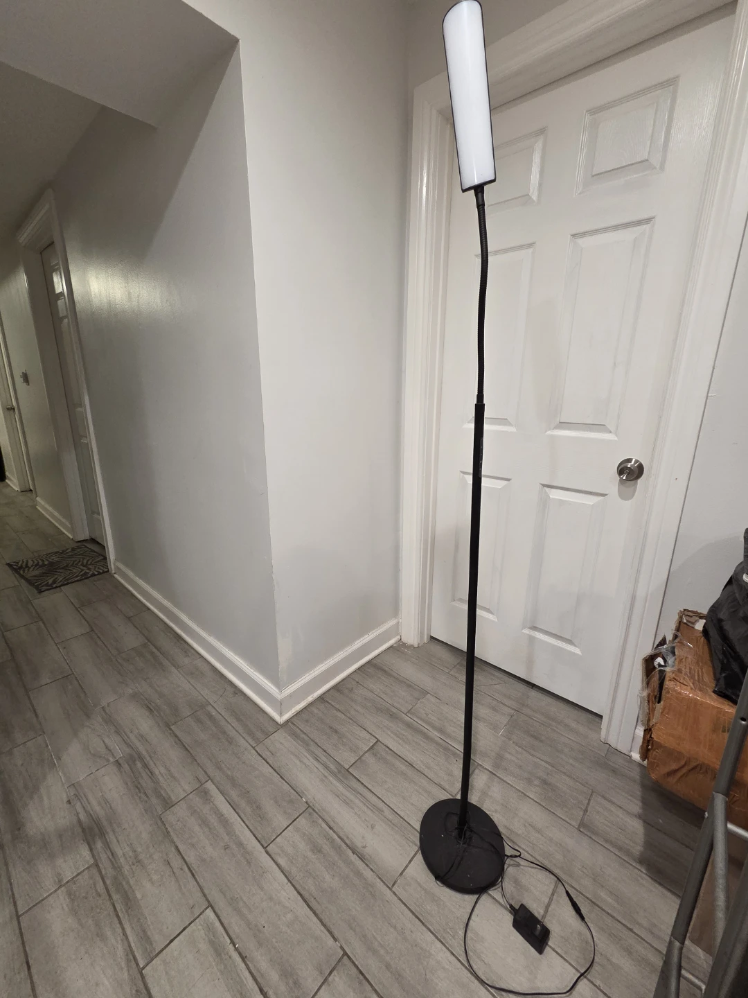 Black LED Floor Lamp