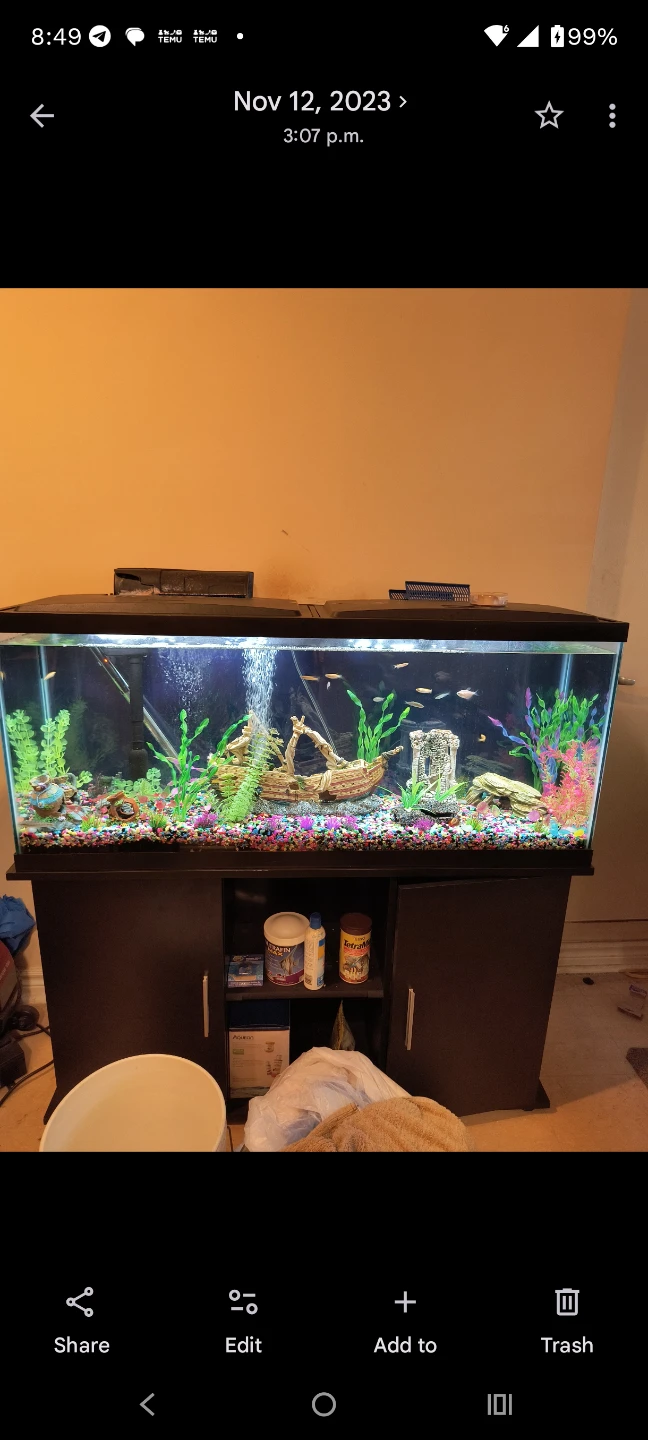 55 Gallon Aquarium with Stand