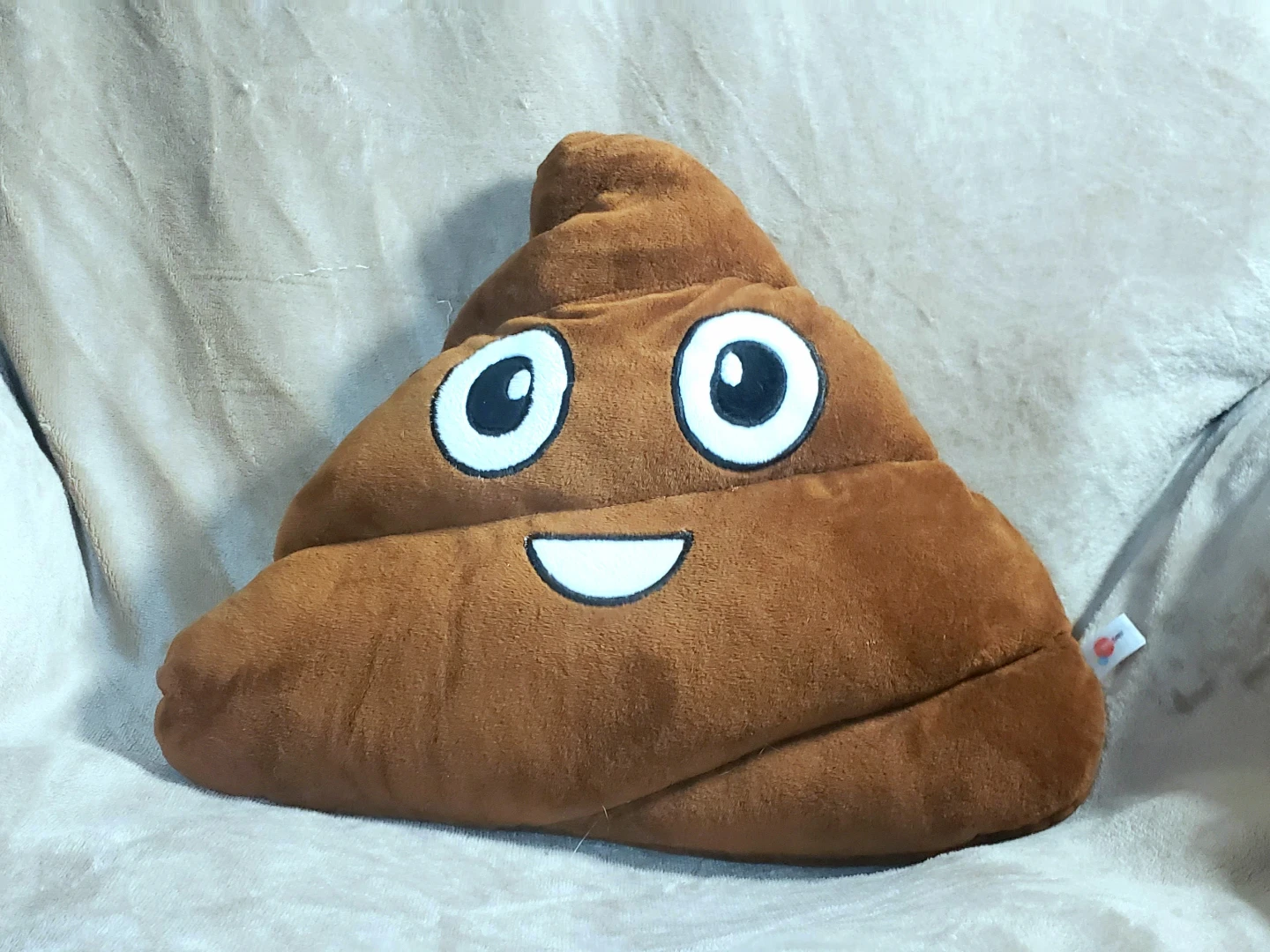 Poomoji Plush Cushion from Ricochet