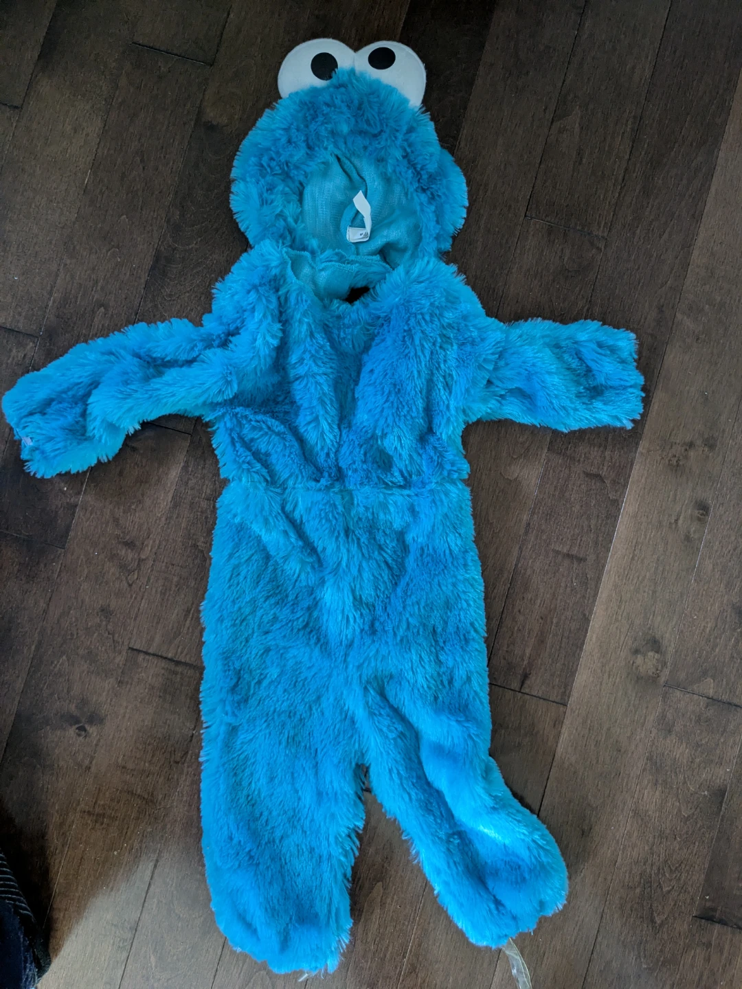Sesame Street Cookie Monster Costume