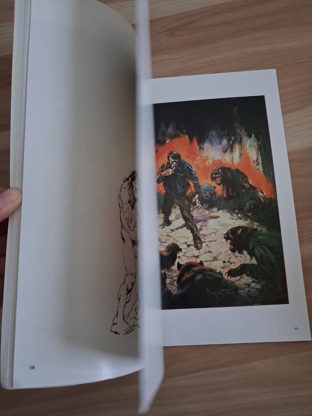 Frazetta Book Four Art Collection - photo 3