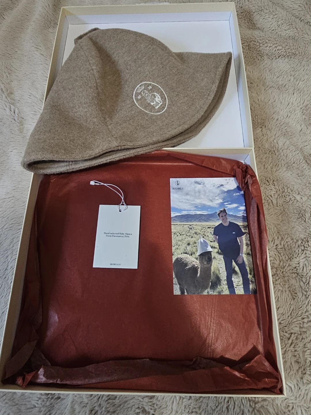 Bjorli Baby Alpaca Wool Hat - photo 5