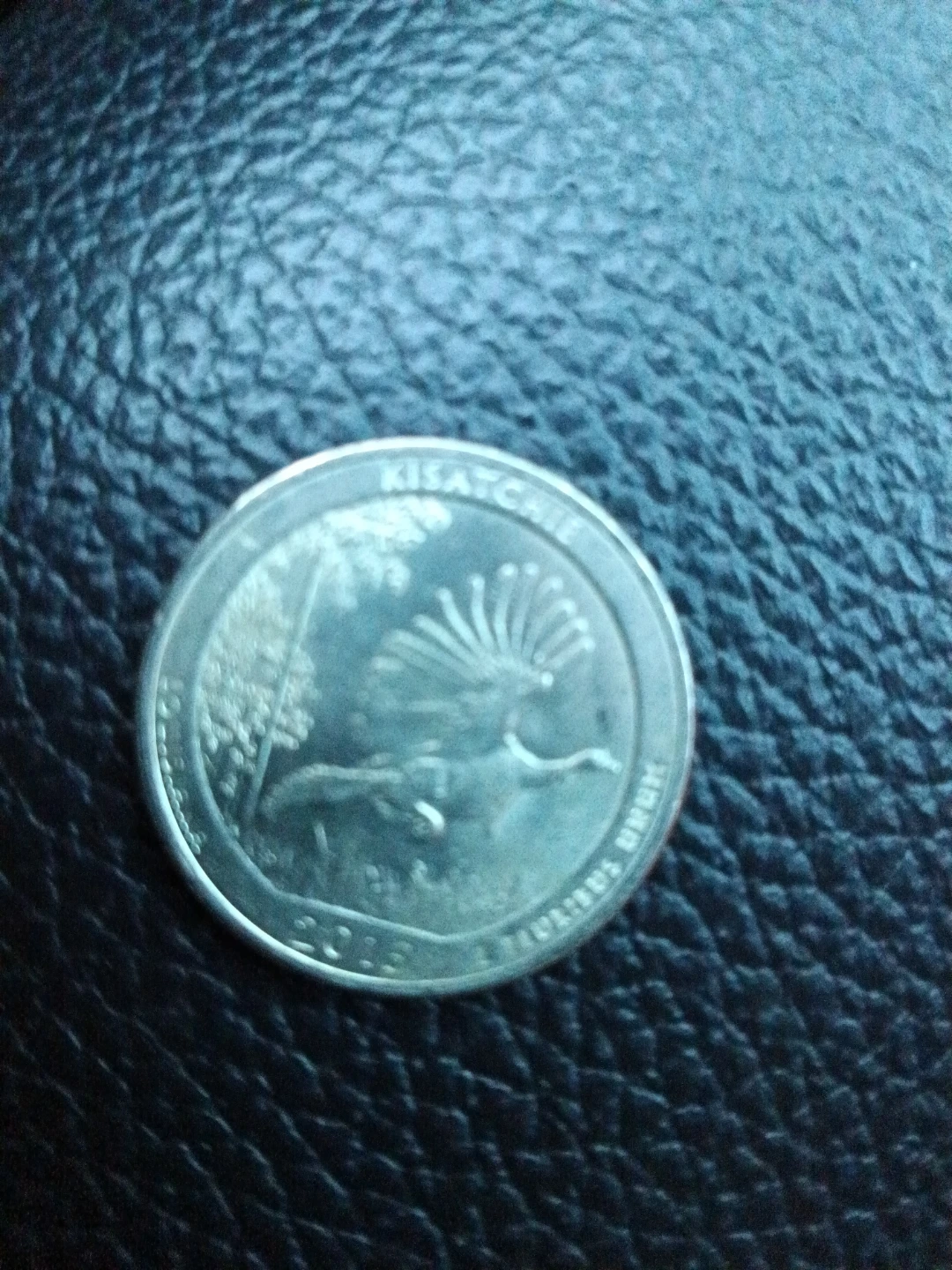 2015 Kisatchie National Forest Quarter - photo 2